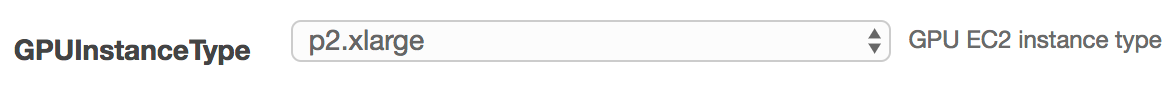 GPU instance type field