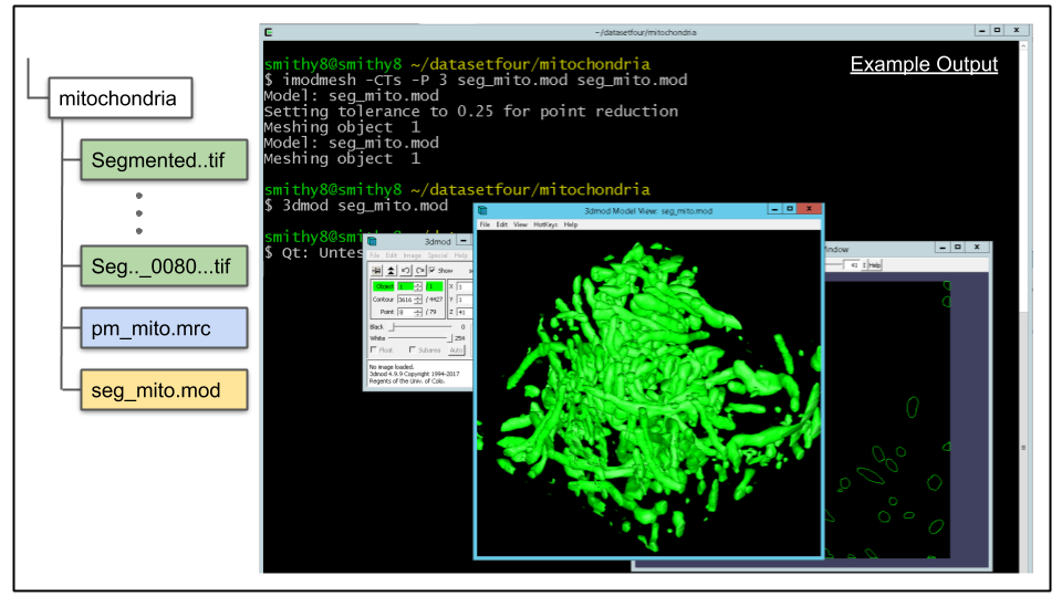 Terminal showing set model header