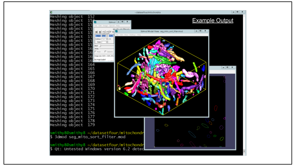 Terminal showing PyIMOD filtered model