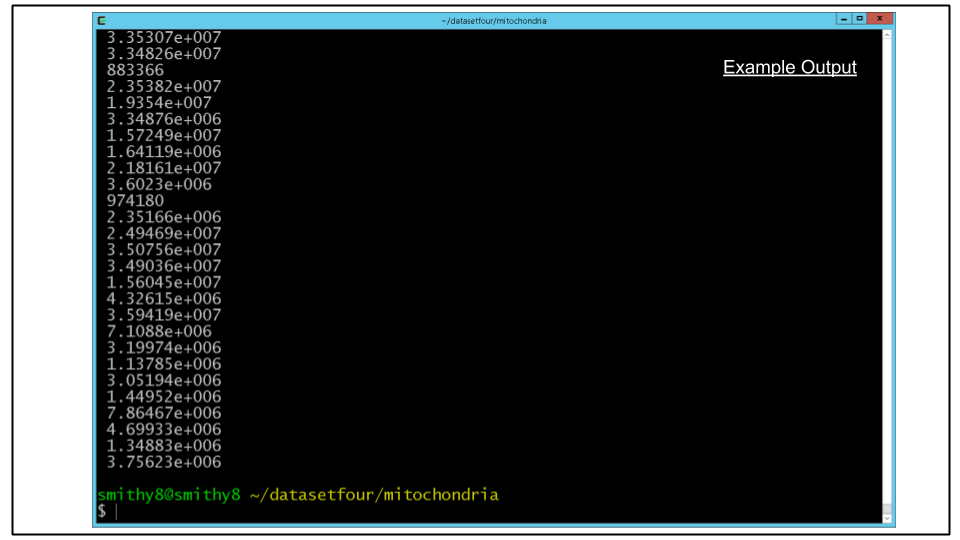 Terminal showing output of imodinfo