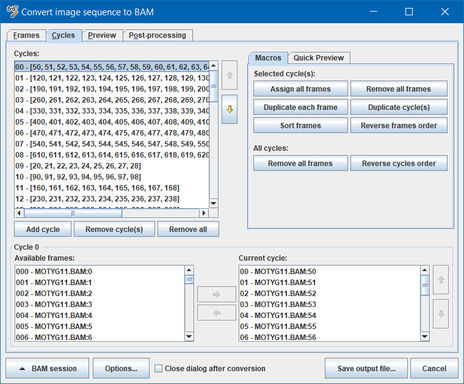 BAM Converter: Cycles tab