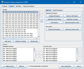 BAM Converter: Cycles Tab