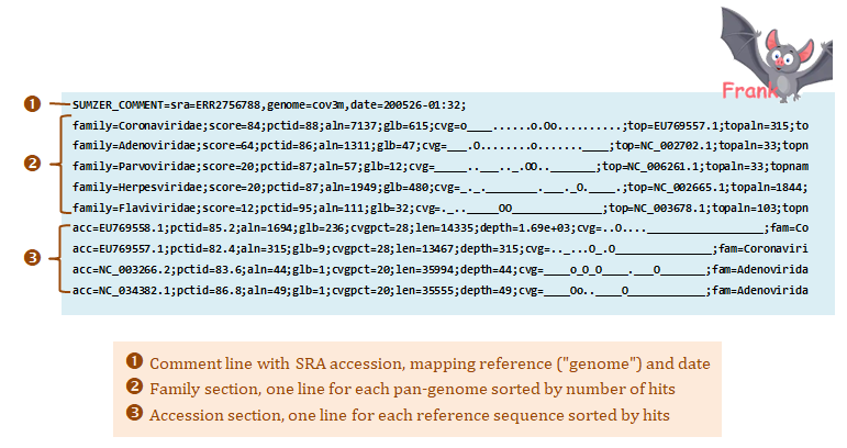 Summary report example