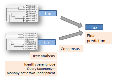 Summary report example