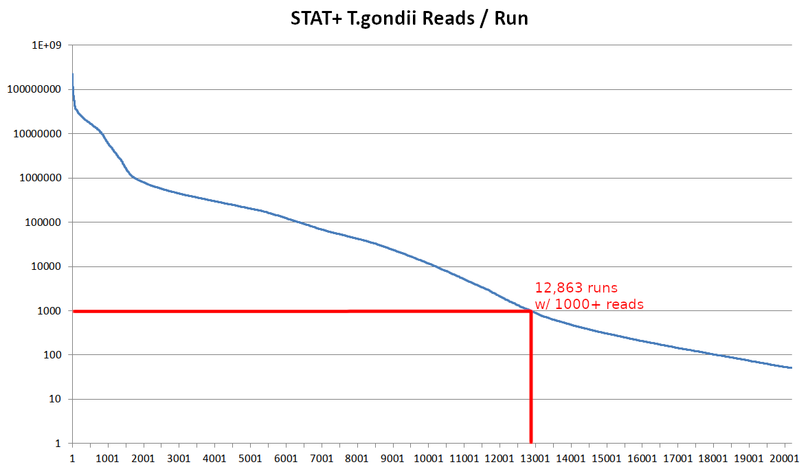 T gondii STAT