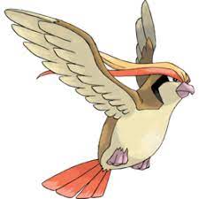 pidgeot.jpeg