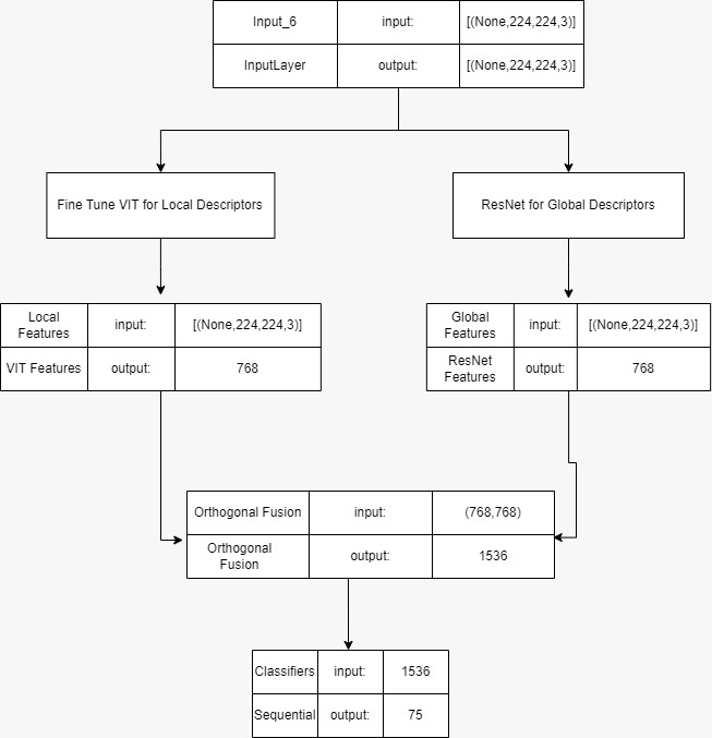 Architecture_VIT_Resnet.jpeg