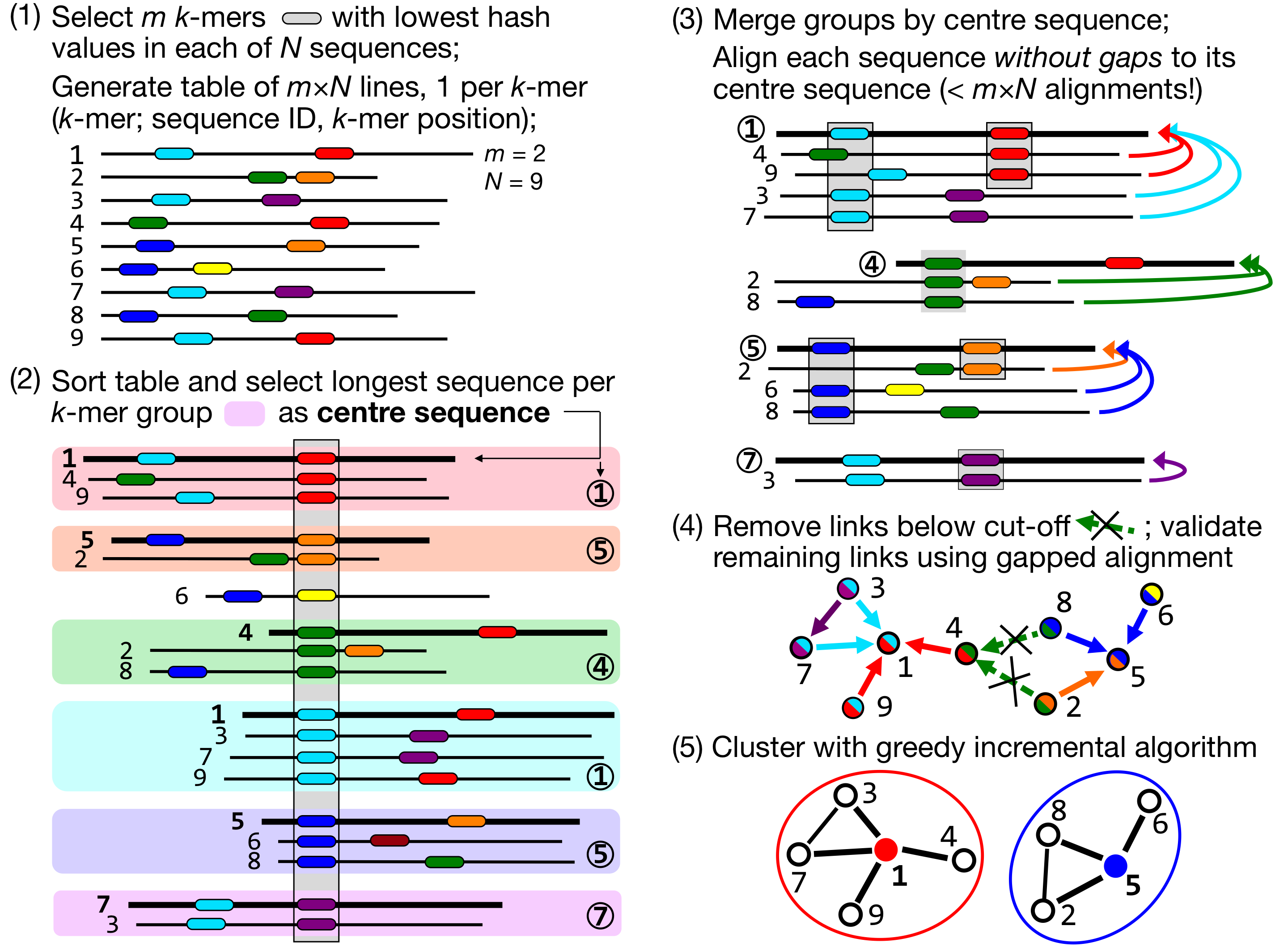 Linclust algorithm